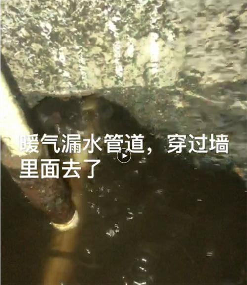 精準(zhǔn)檢測漏水、滲水：客廳、廚房、衛(wèi)生間。。。(圖4)